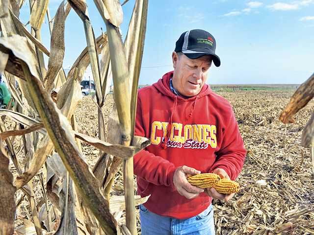Patrick Hammes had a "dream" crop year in 2016. (Progressive Farmer photo by Bob Elbert)